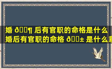 婚 🐶 后有官职的命格是什么（婚后有官职的命格 🐱 是什么意思）
